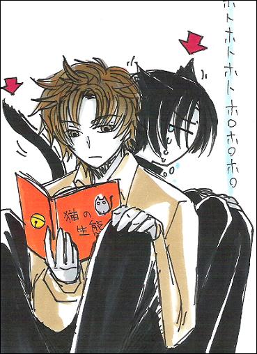 ������ǭ�����������顣