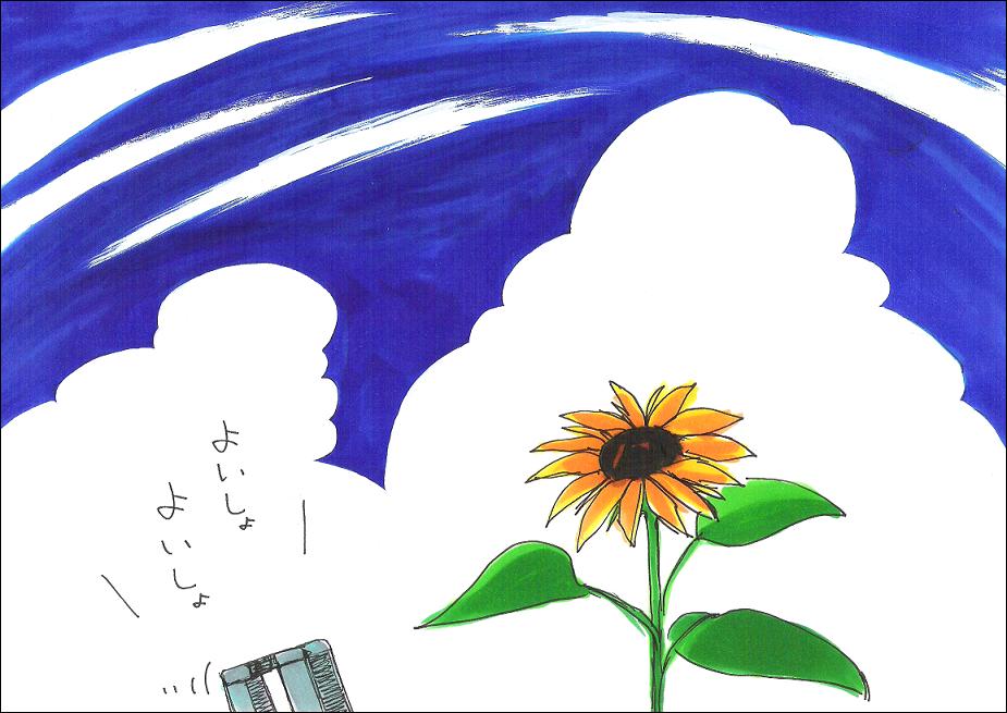 �褤���硢�褤���硢